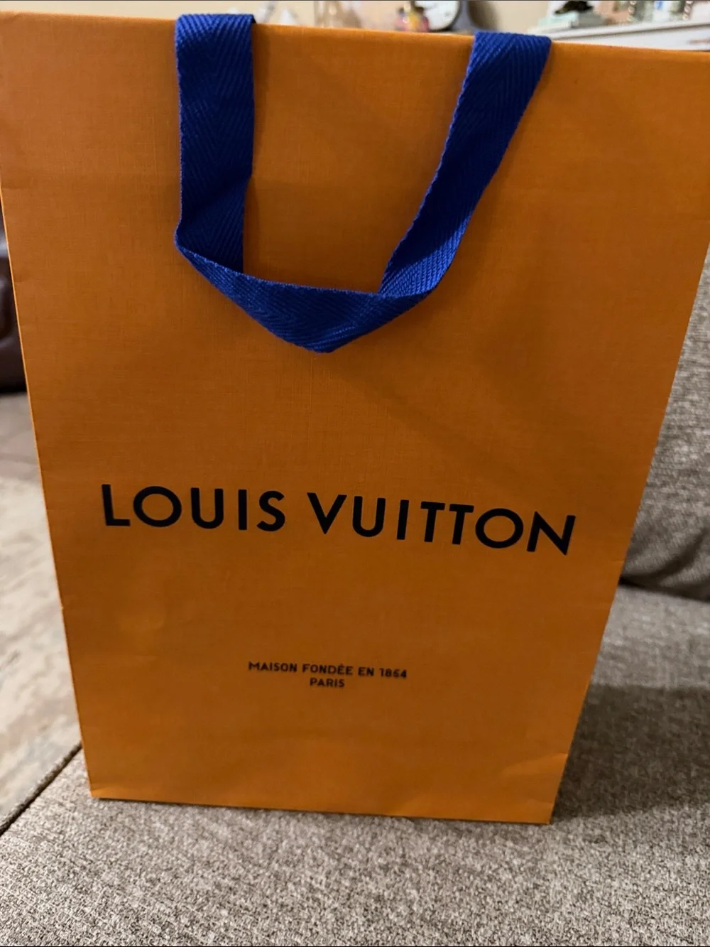 Louis Vuitton authentic shopping or gift bag